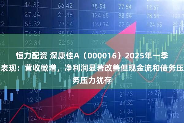 恒力配资 深康佳A（000016）2025年一季度财务表现：营收微增，净利润显著改善但现金流和债务压力犹存