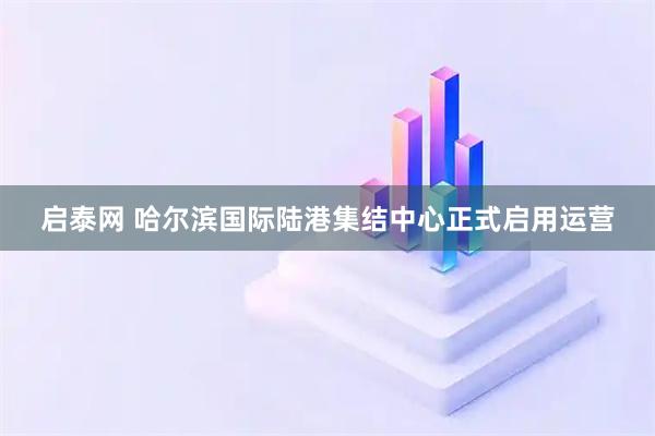 启泰网 哈尔滨国际陆港集结中心正式启用运营