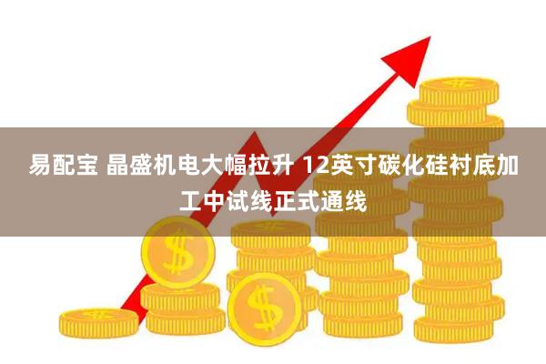 易配宝 晶盛机电大幅拉升 12英寸碳化硅衬底加工中试线正式通线