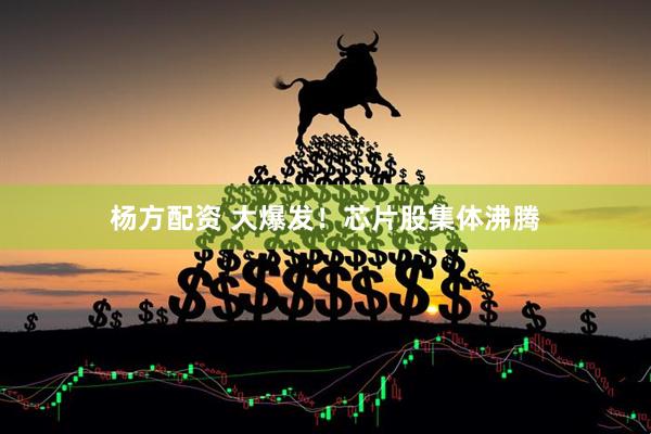 杨方配资 大爆发！芯片股集体沸腾