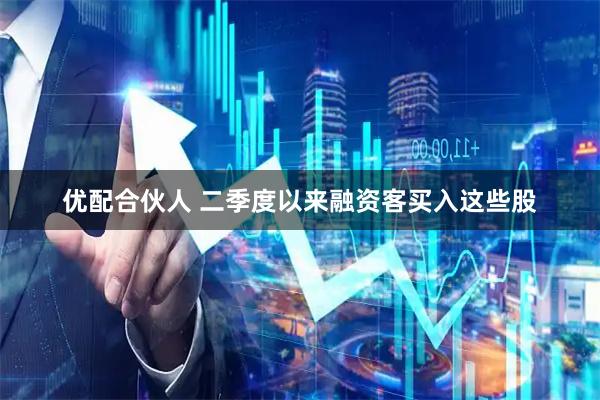 优配合伙人 二季度以来融资客买入这些股