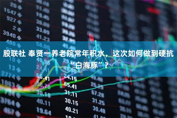 股联社 奉贤一养老院常年积水，这次如何做到硬抗“白海豚”？